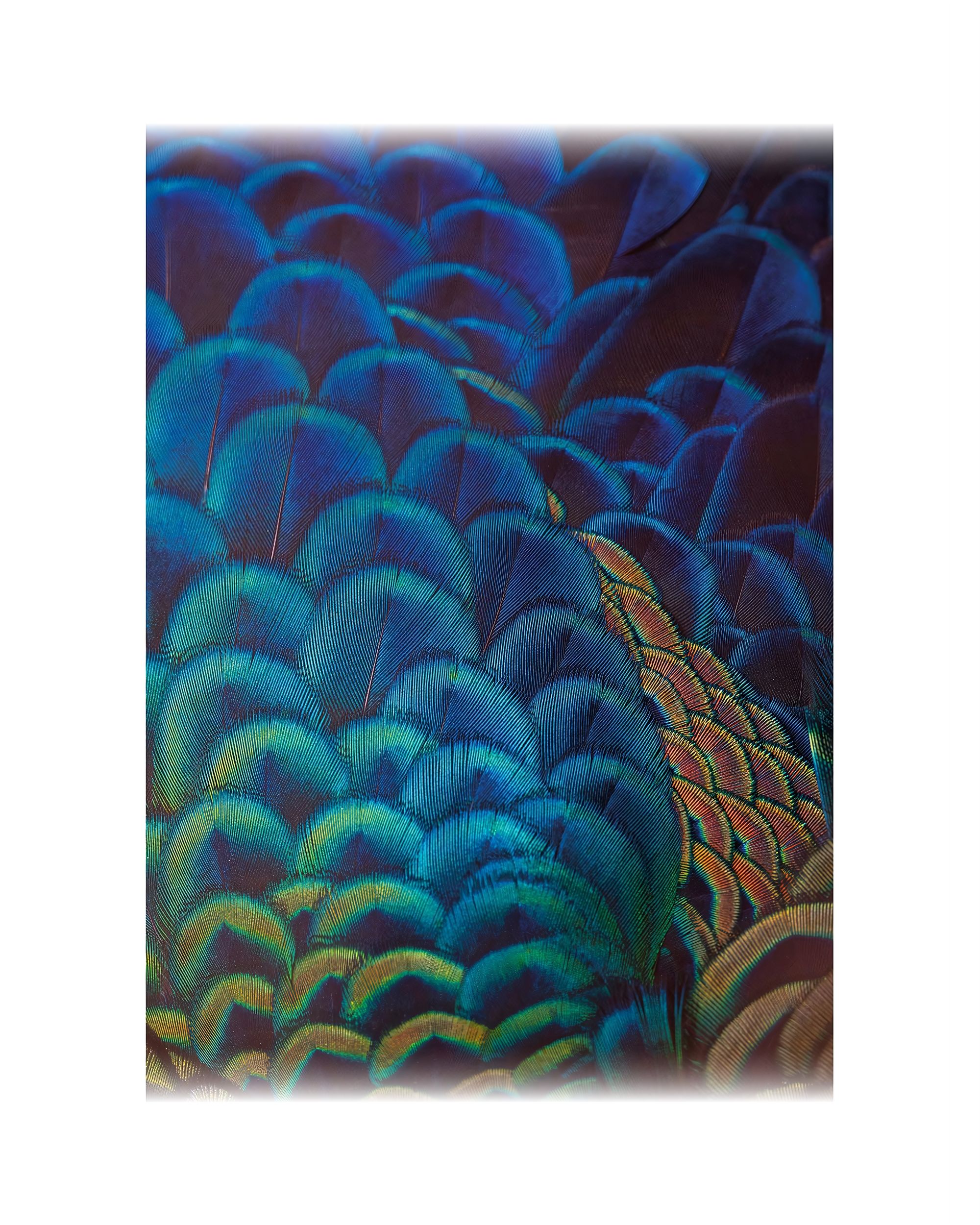 188-000-18