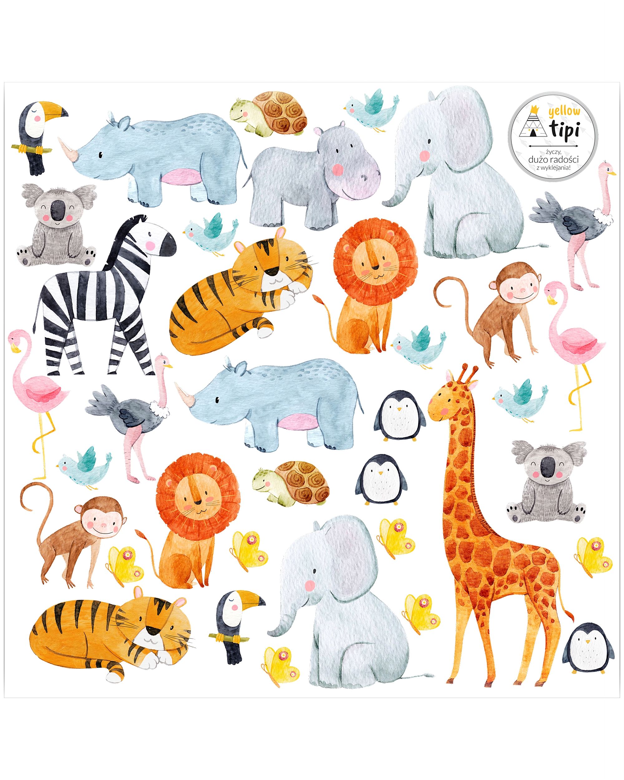 Zoo Animals