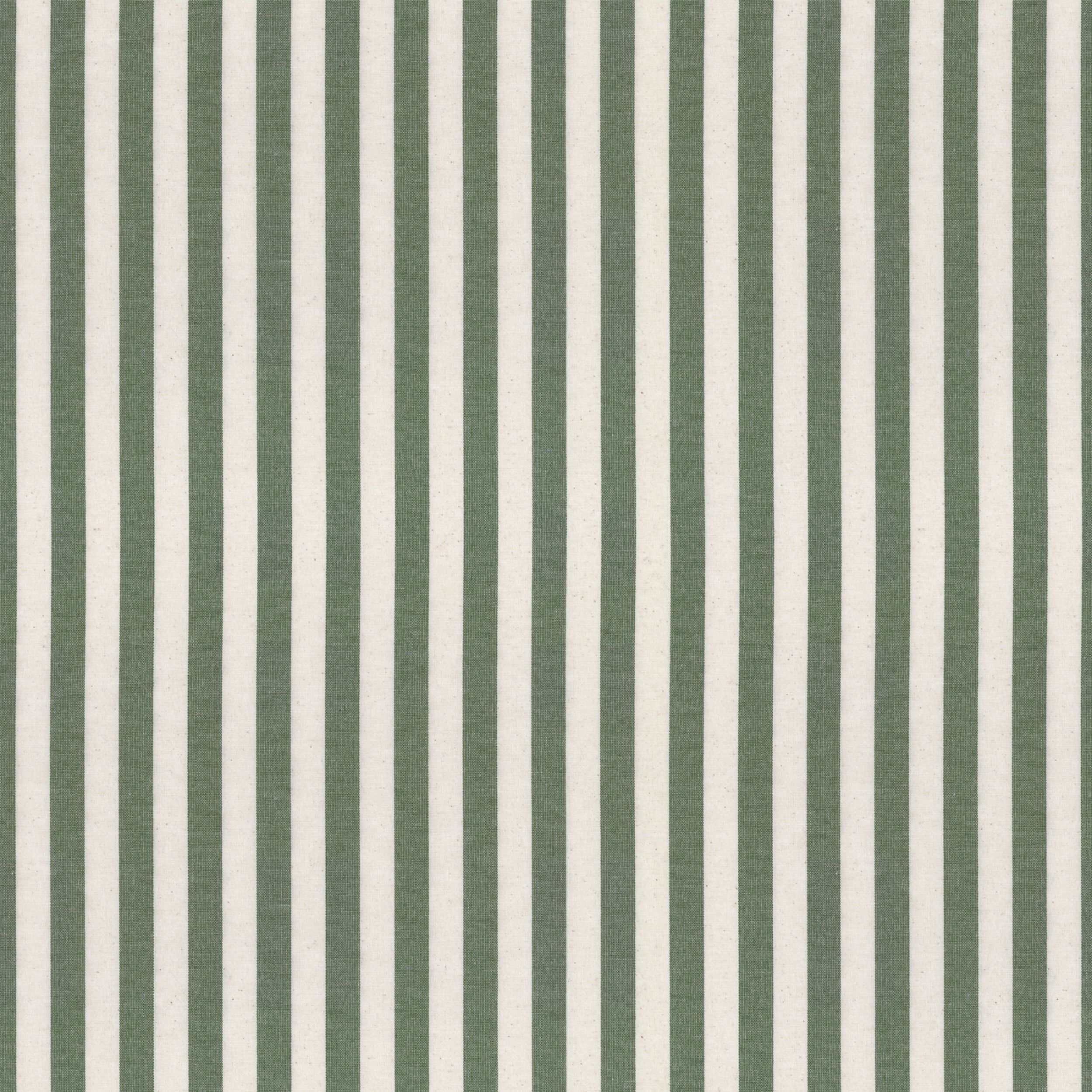 Stripes 144-35 tamsiai žalia ir šviesi