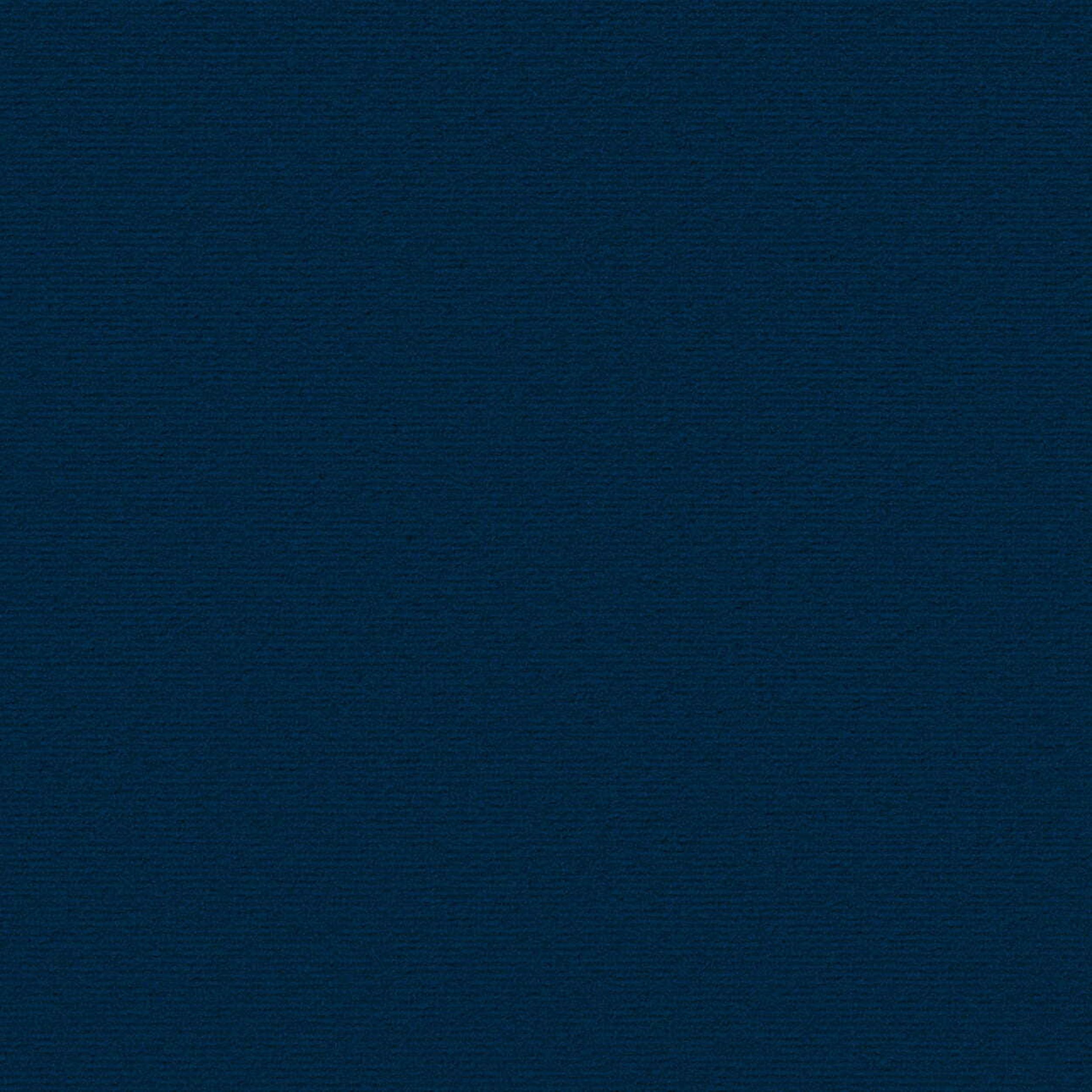 Posh Velvet 704-29 tamsi melsva