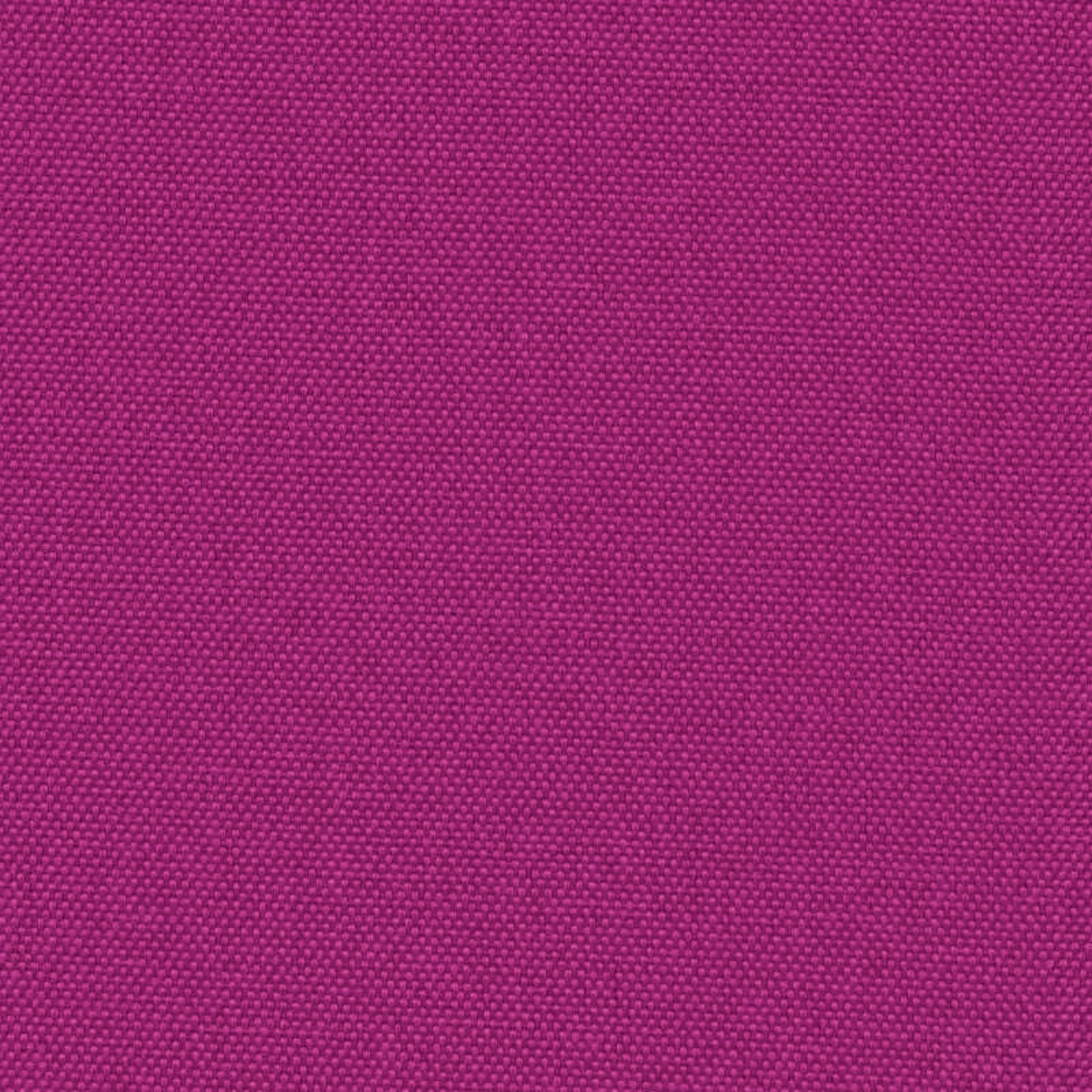 Lollipop 705-23 fuksijų